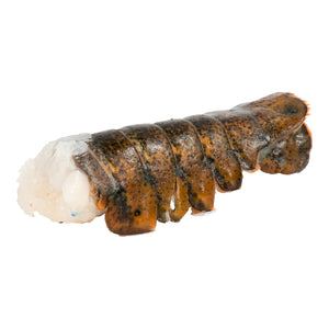 Lobster Tail-Sold Individual-