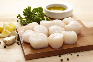 Scallops